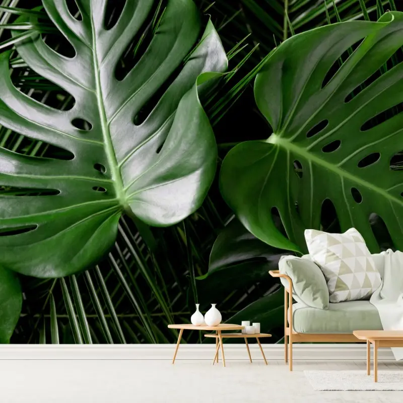 Fototapete üppige monstera-blätter