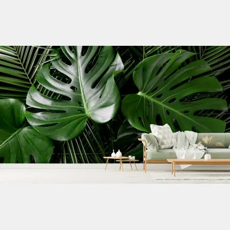Fototapete üppige monstera-blätter – Pixers®