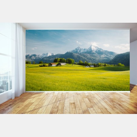 Fototapete alpwiese unter schneebedeckten gipfeln – Pixers®