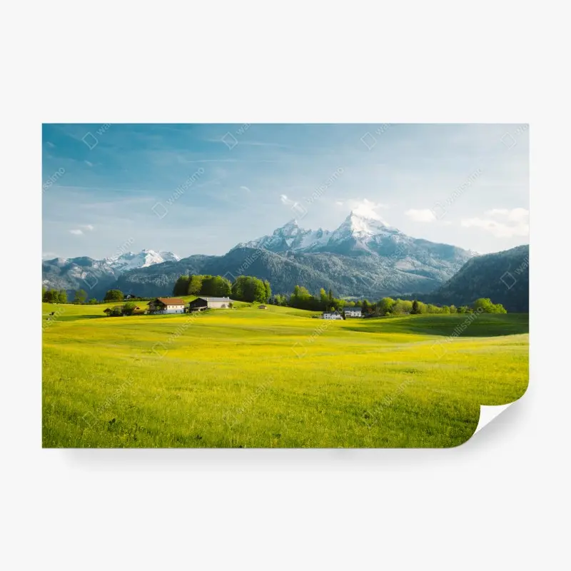 Fototapete alpwiese unter schneebedeckten gipfeln