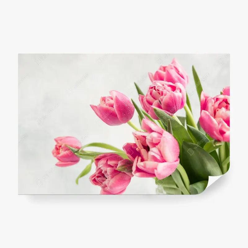 Fototapete eleganter strauß rosa tulpen
