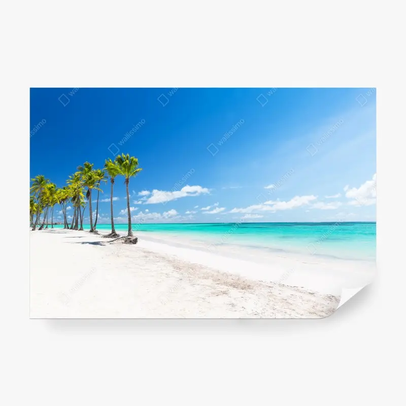 Fototapete palmen am strand von Punta Cana