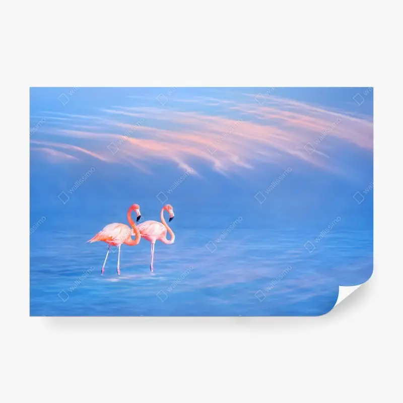 Fototapete rosa flamingos auf pastellfarbenem wasser