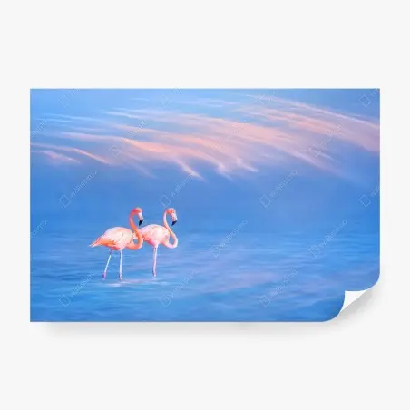 Fototapete rosa flamingos auf pastellfarbenem wasser – Pixers®