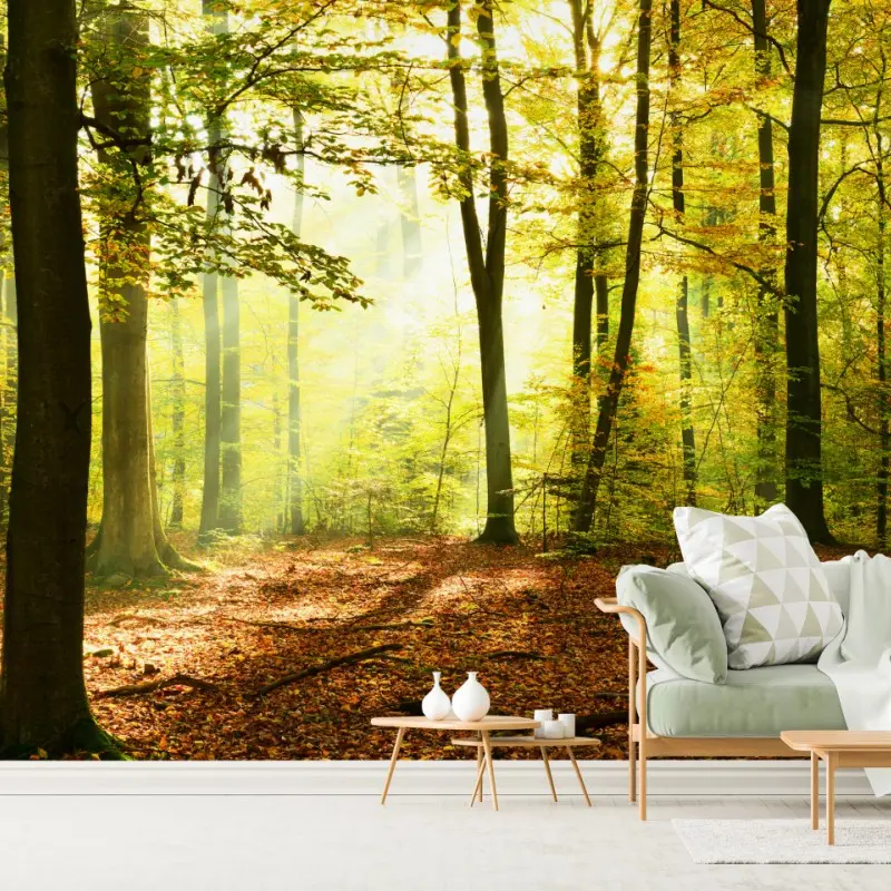 Fototapete goldener herbstwald am morgen