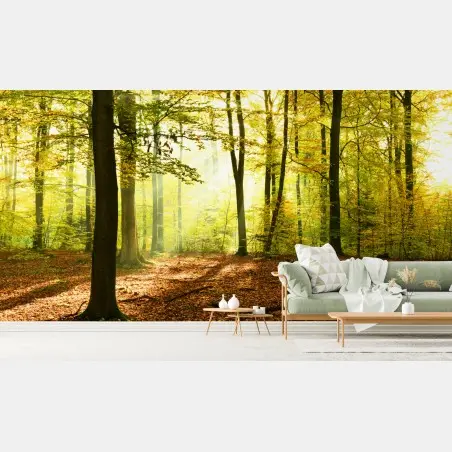 Fototapete goldener herbstwald am morgen – Pixers®