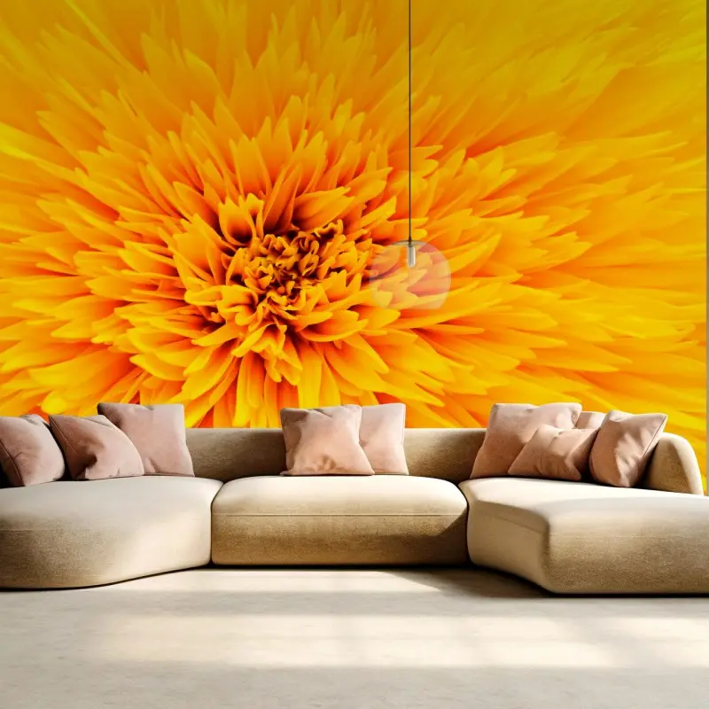 Fototapete strahlende sonnenblume nahaufnahme