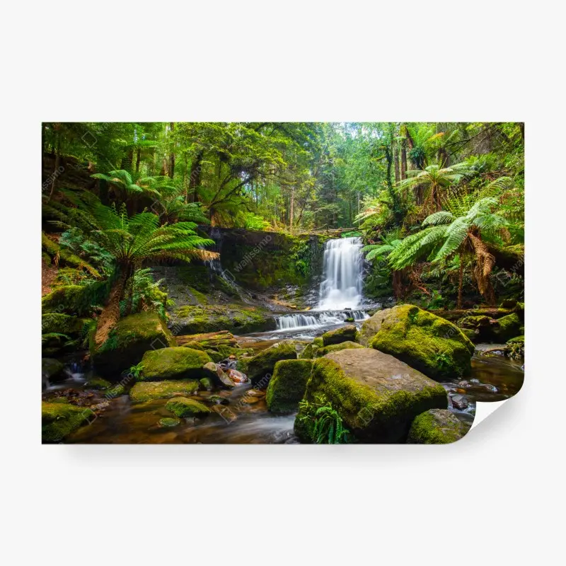 Fototapete üppiger waldwasserfall