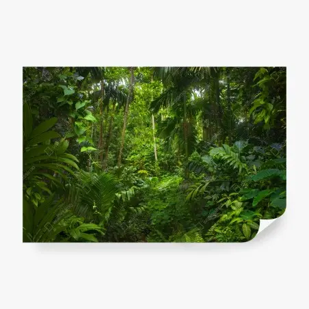 Fototapete üppiger tropischer dschungel – Pixers®