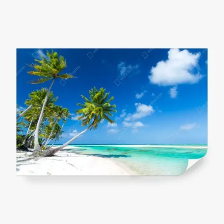 Fototapete tropischer strand mit palmen und türkisfarbenem wasser – Pixers®