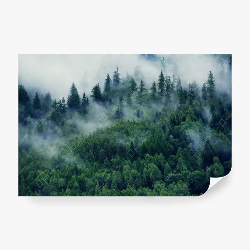 Fototapete nebliger grüner wald