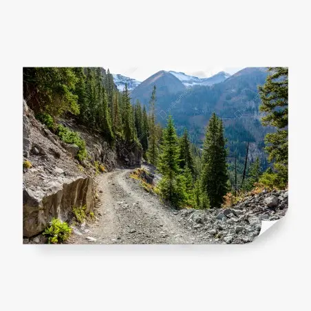 Fototapete bergpfad durch alpinen wald – Pixers®