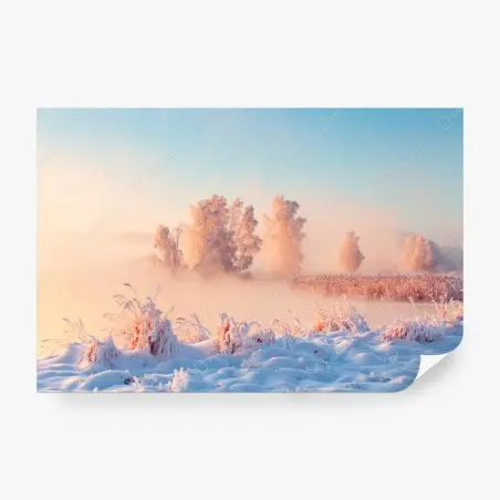 Fototapete winterlicher sonnenaufgang über einer frostigen wiese – Pixers®
