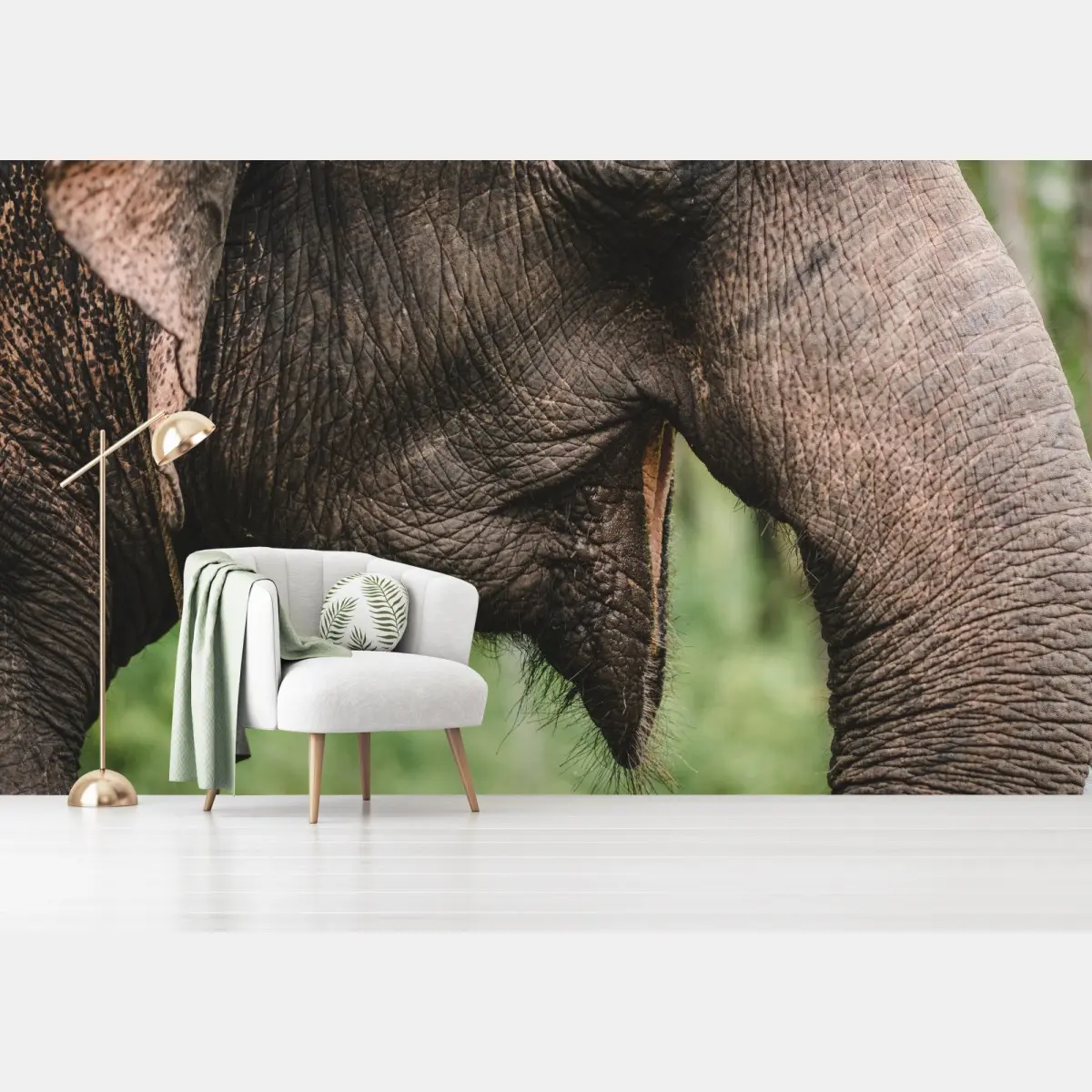 Fototapete asiatischer elefant nahaufnahme – Pixers®