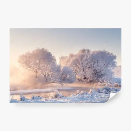 Fototapete raureifbedeckte bäume bei sonnenaufgang – Pixers®