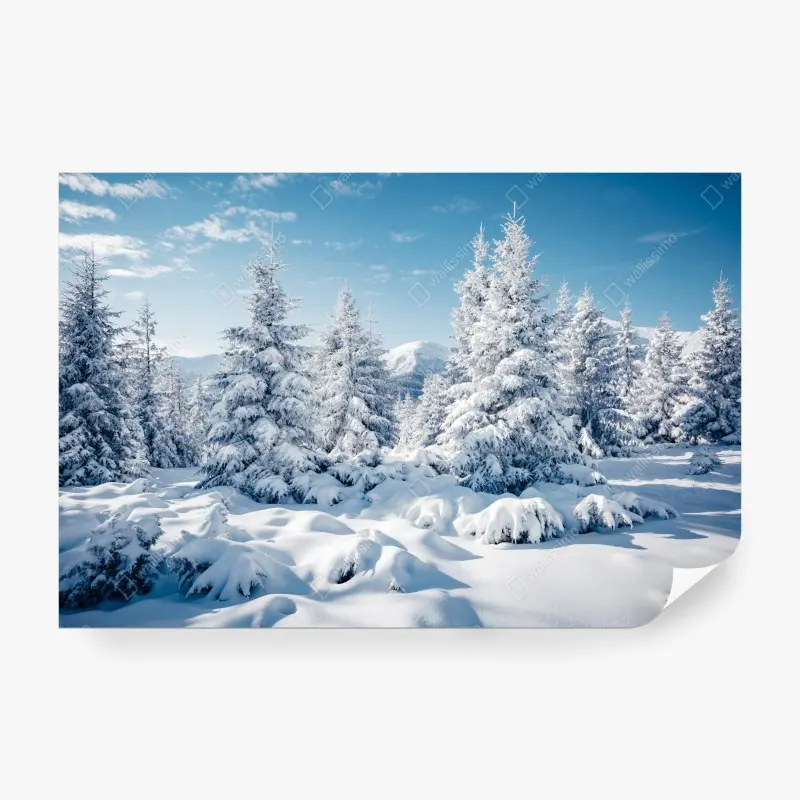 Fototapete winterruhe in den Karpaten