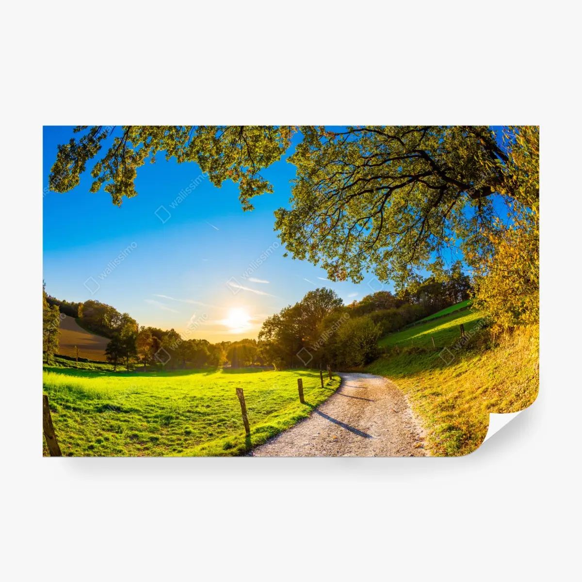 Fototapete sonnenbeschienene wiese mit landweg bei sonnenuntergang – Pixers®