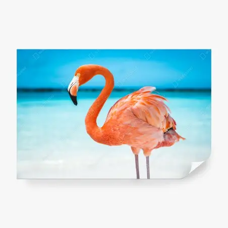 Fototapete leuchtender rosa flamingo am türkisfarbenen strand – Pixers®
