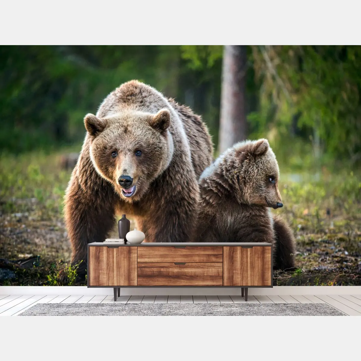 Fototapete braunbär mit jungem im wald – Pixers®