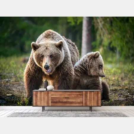 Fototapete braunbär mit jungem im wald – Pixers®