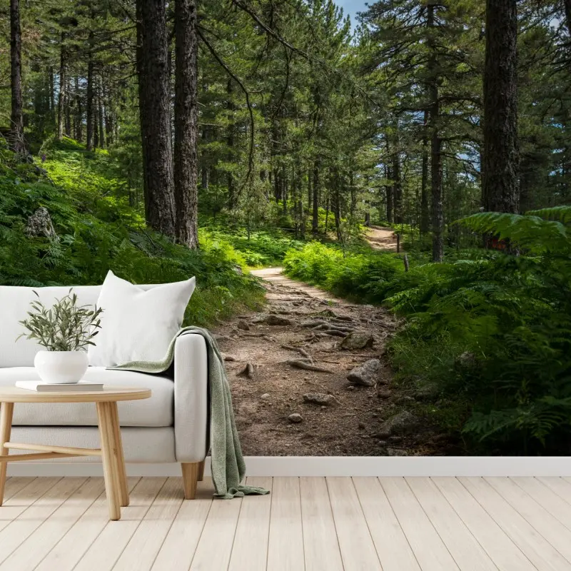 Fototapete ruhiger waldpfad durch üppiges grün