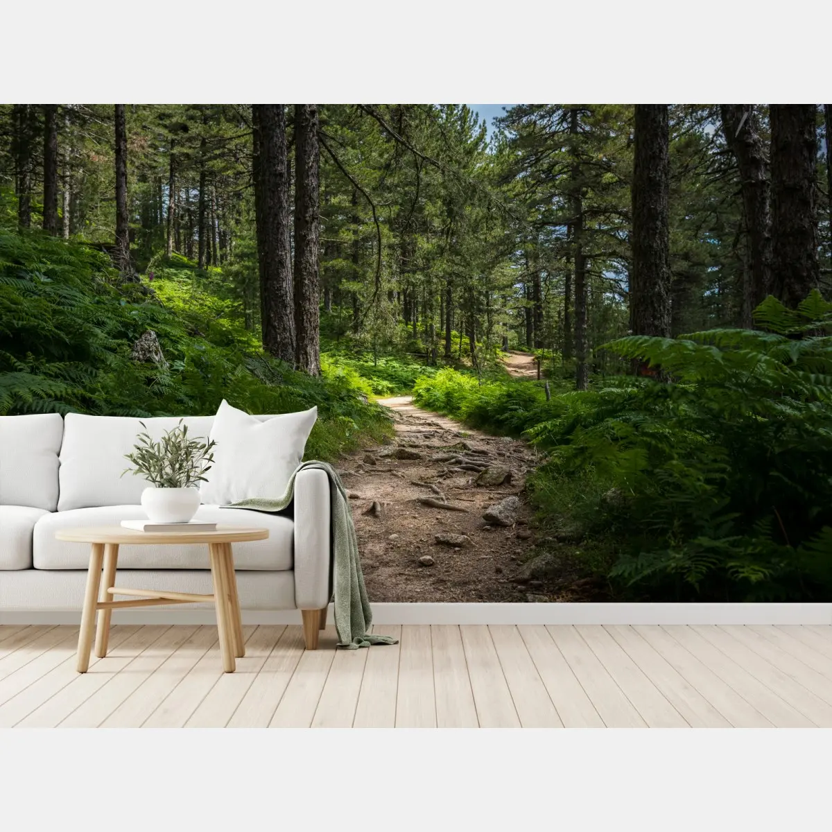 Fototapete ruhiger waldpfad durch üppiges grün – Pixers®