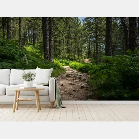 Fototapete ruhiger waldpfad durch üppiges grün – Pixers®