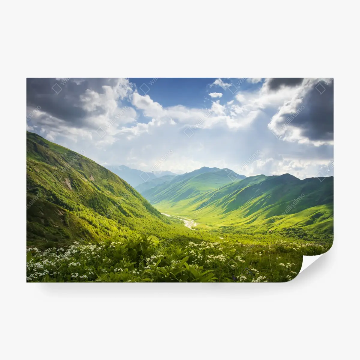 Fototapete üppiges grünes tal – Pixers®