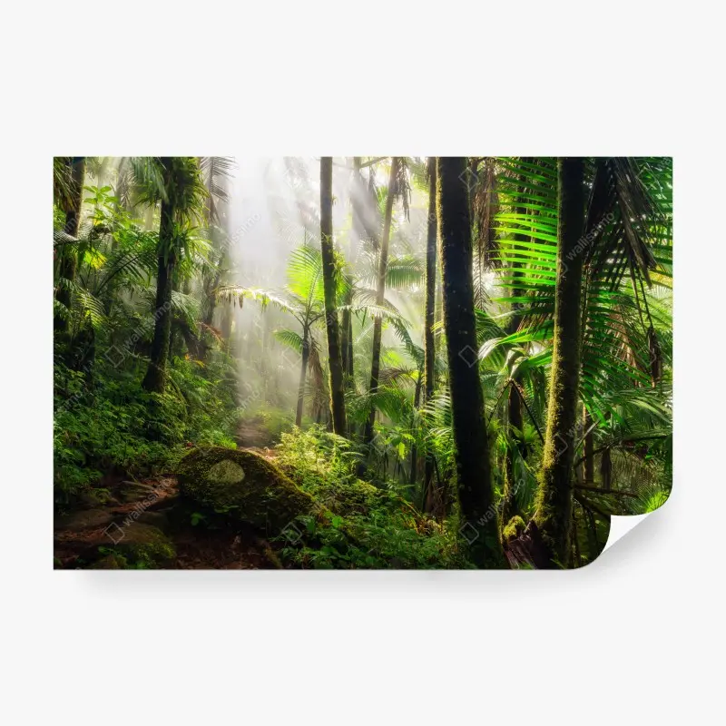 Fototapete tropischer regenwald mit sonnenstrahlen