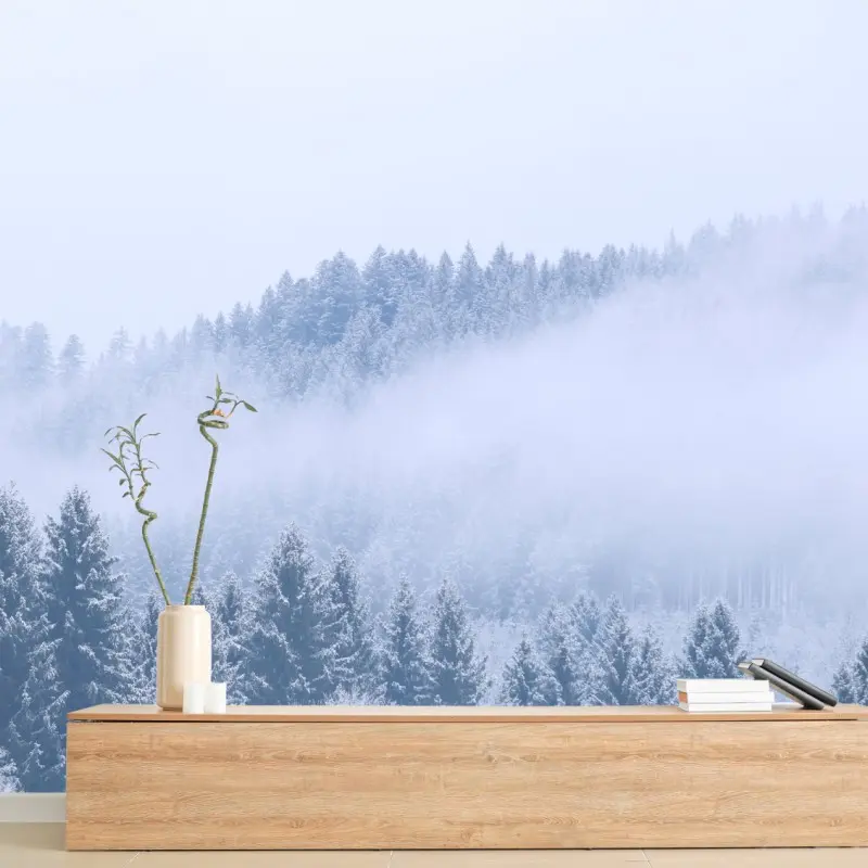 Fototapete winternebel über nadelwald