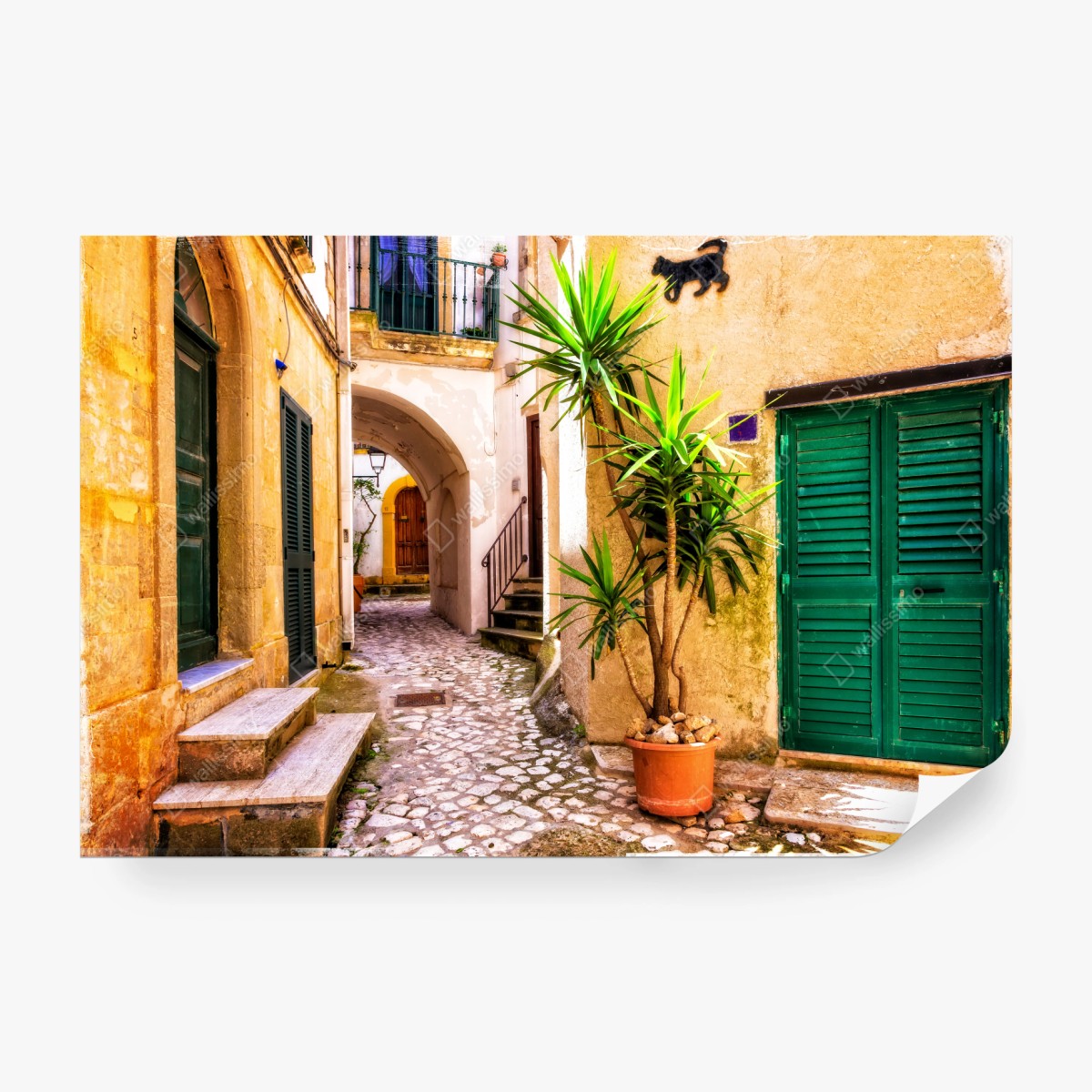 Fototapete sonnige mediterrane gasse mit grünen jalousien – Pixers®