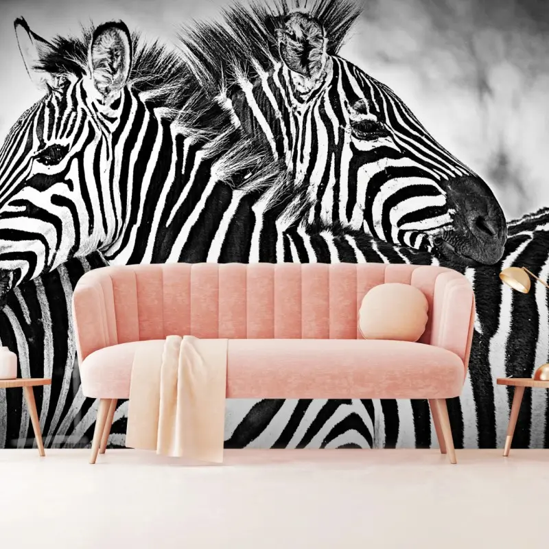 Fototapete intimes zebra-porträt in schwarzweiß