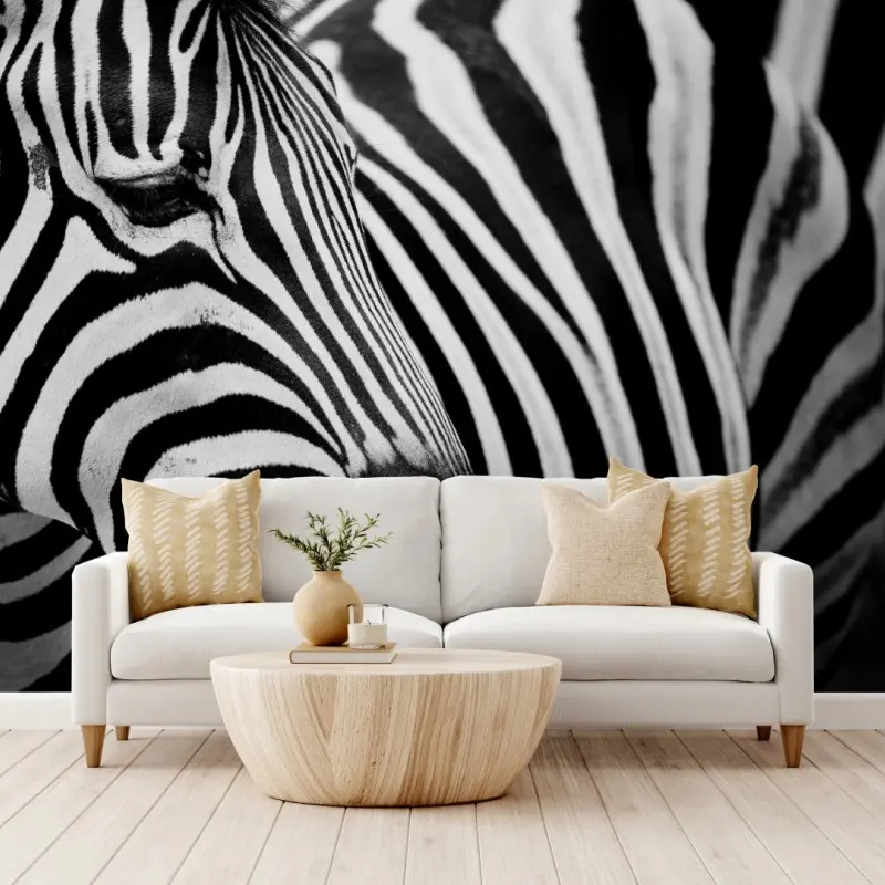 Fototapete zebra in monochromen streifen