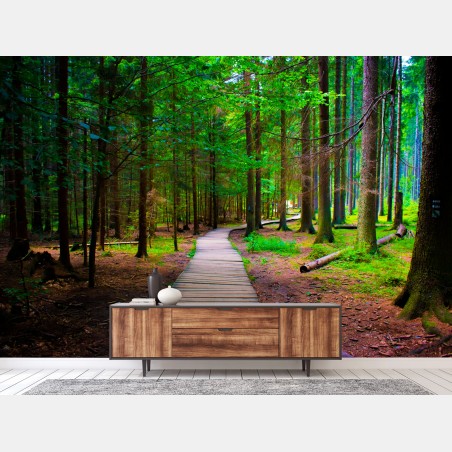 Fototapete ruhiger waldsteg im grünen – Pixers®