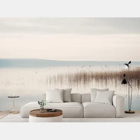 Fototapete ruhige schilfzone am see – Pixers®