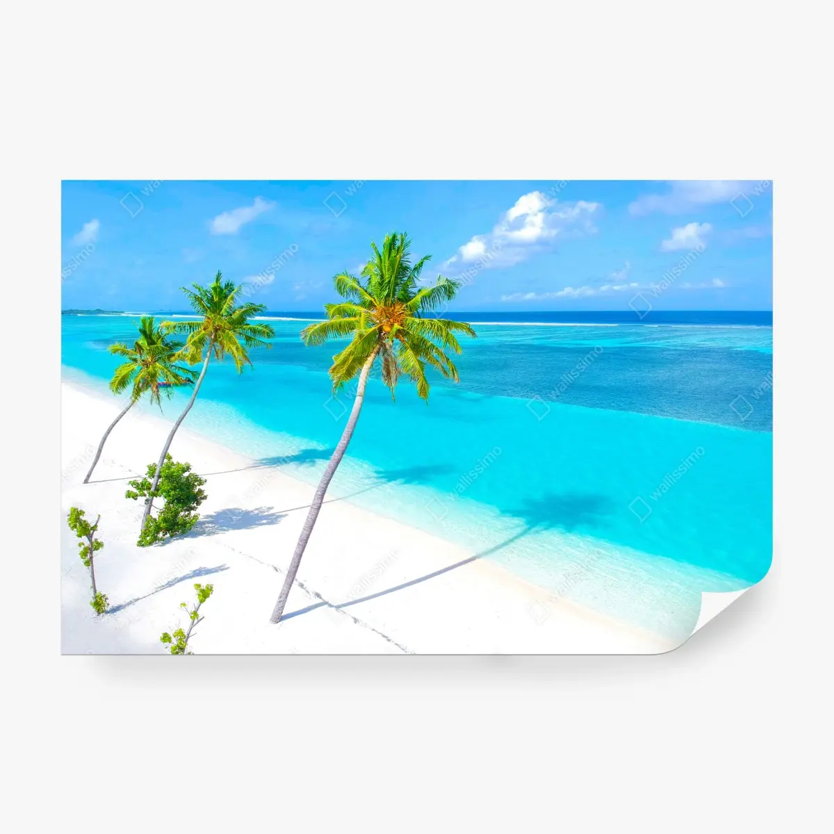 Fototapete tropischer türkisfarbener strand mit palmen – Pixers®