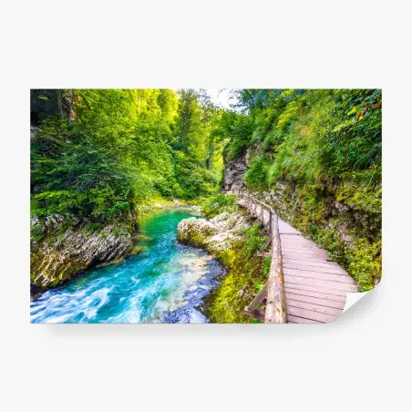 Fototapete türkisfarbener fluss und holzsteg im wald – Pixers®