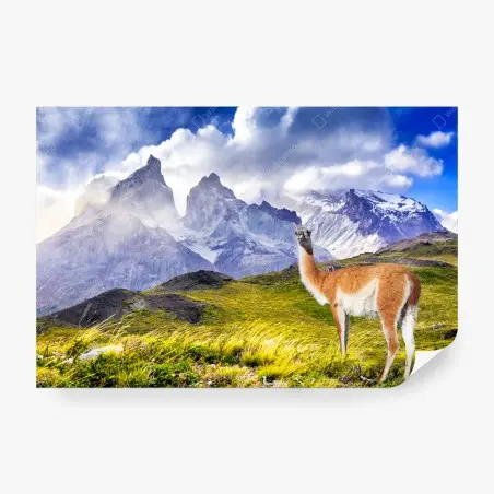 Fototapete Torres del Paine Patagonia landschaft mit guanako – Pixers®