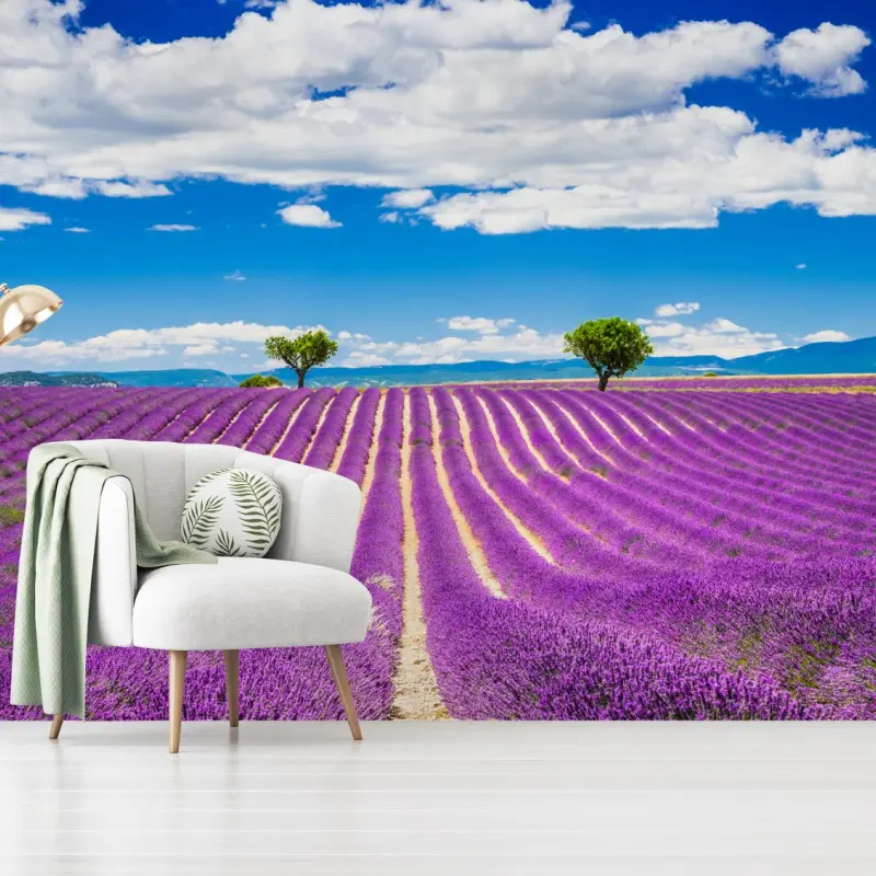 Fototapete lavendelfelder in Provence