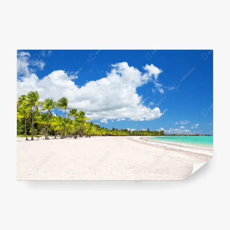 Fototapete tropischer strand in Punta Cana