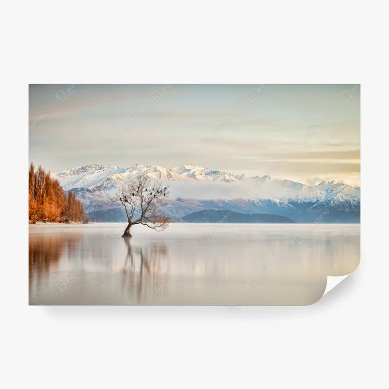 Fototapete einsamer baum am see Wanaka