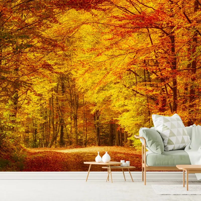 Fototapete goldener herbstwaldweg