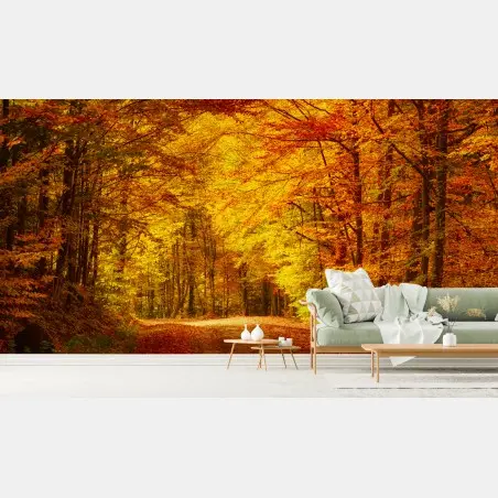 Fototapete goldener herbstwaldweg – Pixers®