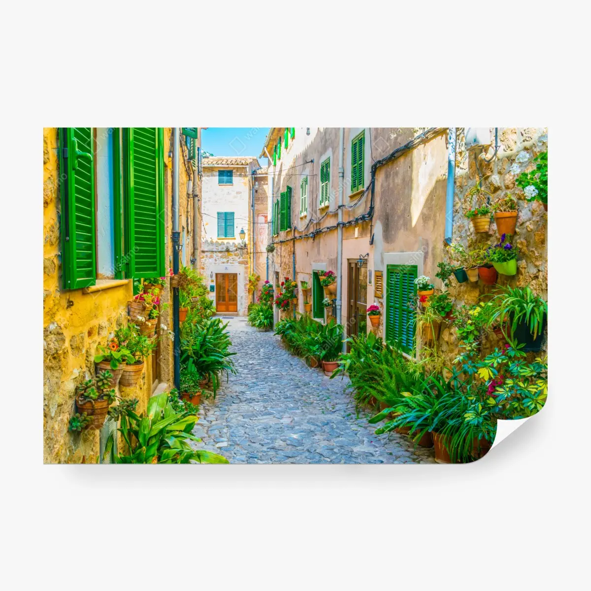 Fototapete sonnige gasse mit grünen fensterläden – Pixers®