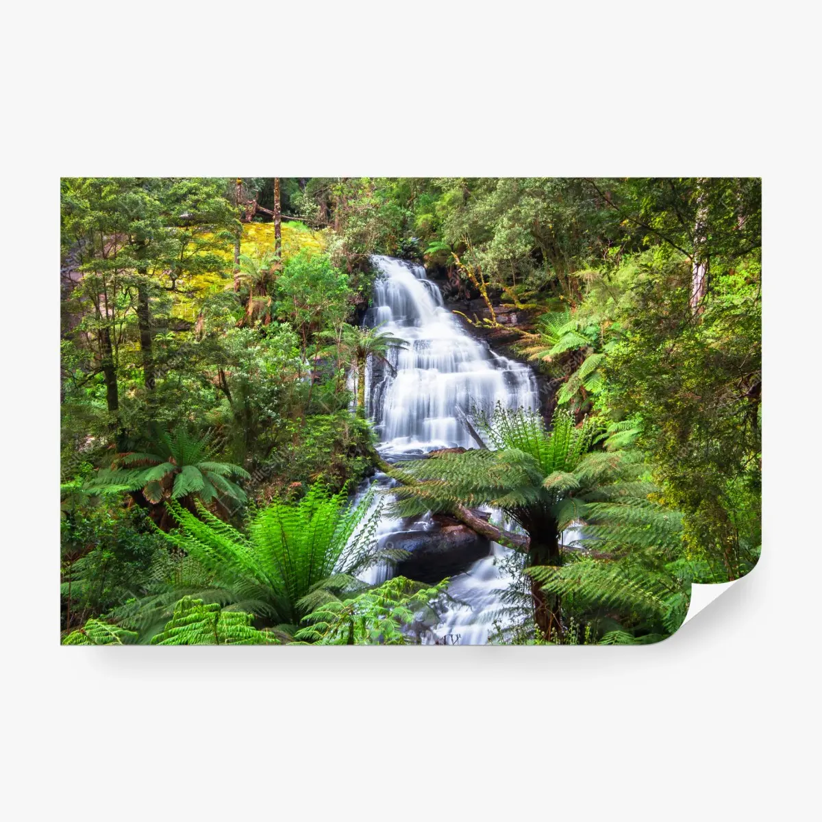 Fototapete Triplet Falls wasserfall im Great Otway National Park – Pixers®