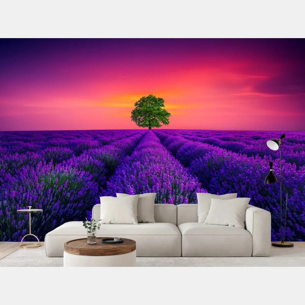 Fototapete lavendelfeld bei sonnenuntergang mit einsamem baum – Pixers®
