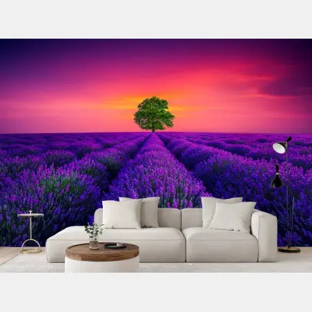 Fototapete lavendelfeld bei sonnenuntergang mit einsamem baum – Pixers®