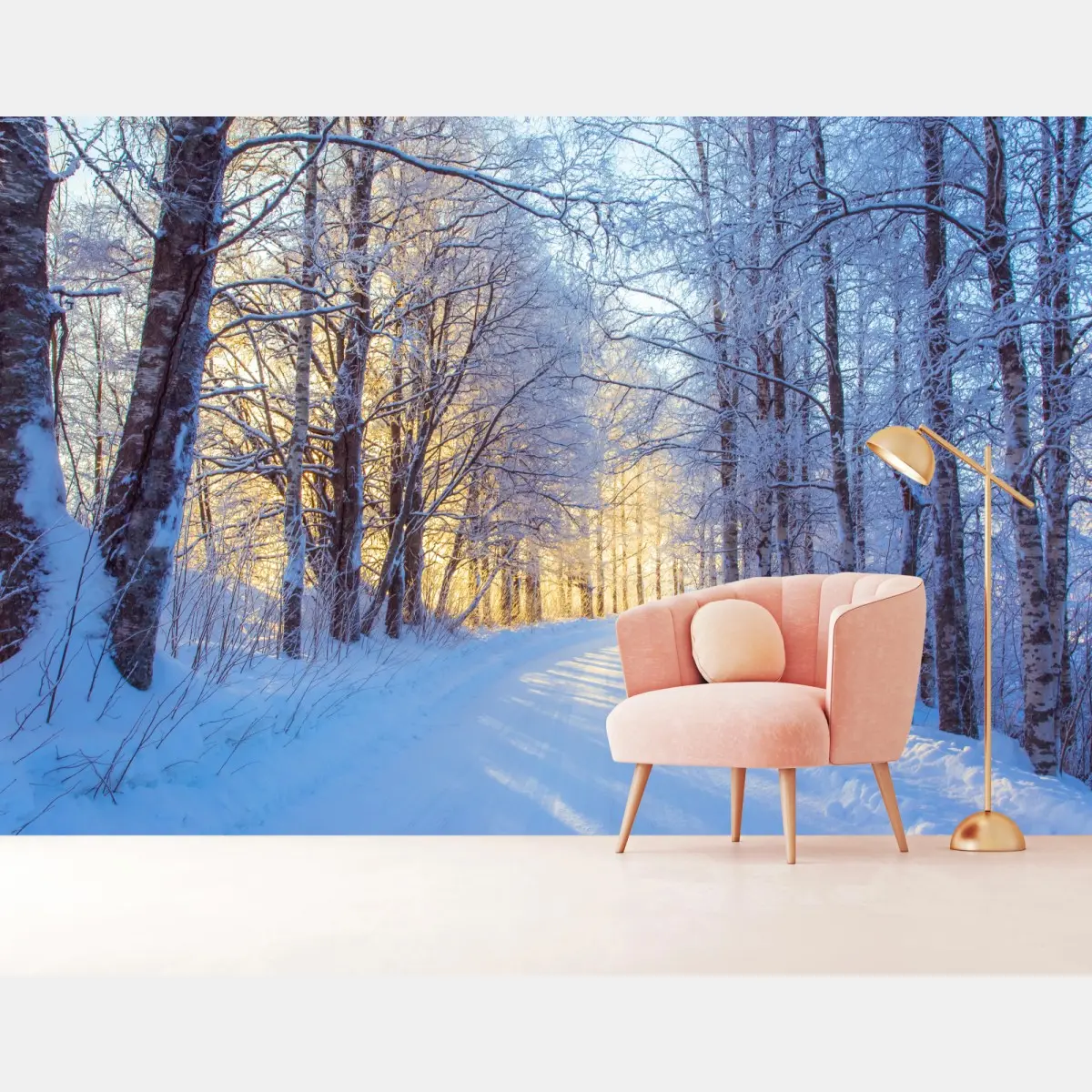 Fototapete birkenwald im winter bei sonnenaufgang – Pixers®