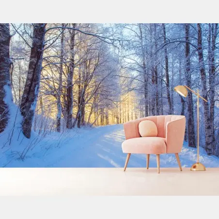 Fototapete birkenwald im winter bei sonnenaufgang – Pixers®