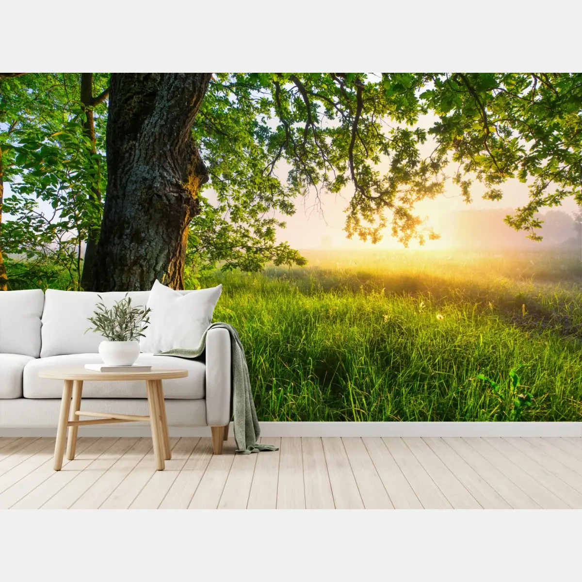 Fototapete morgendliche eiche auf sonnenbeschienener wiese – Pixers®